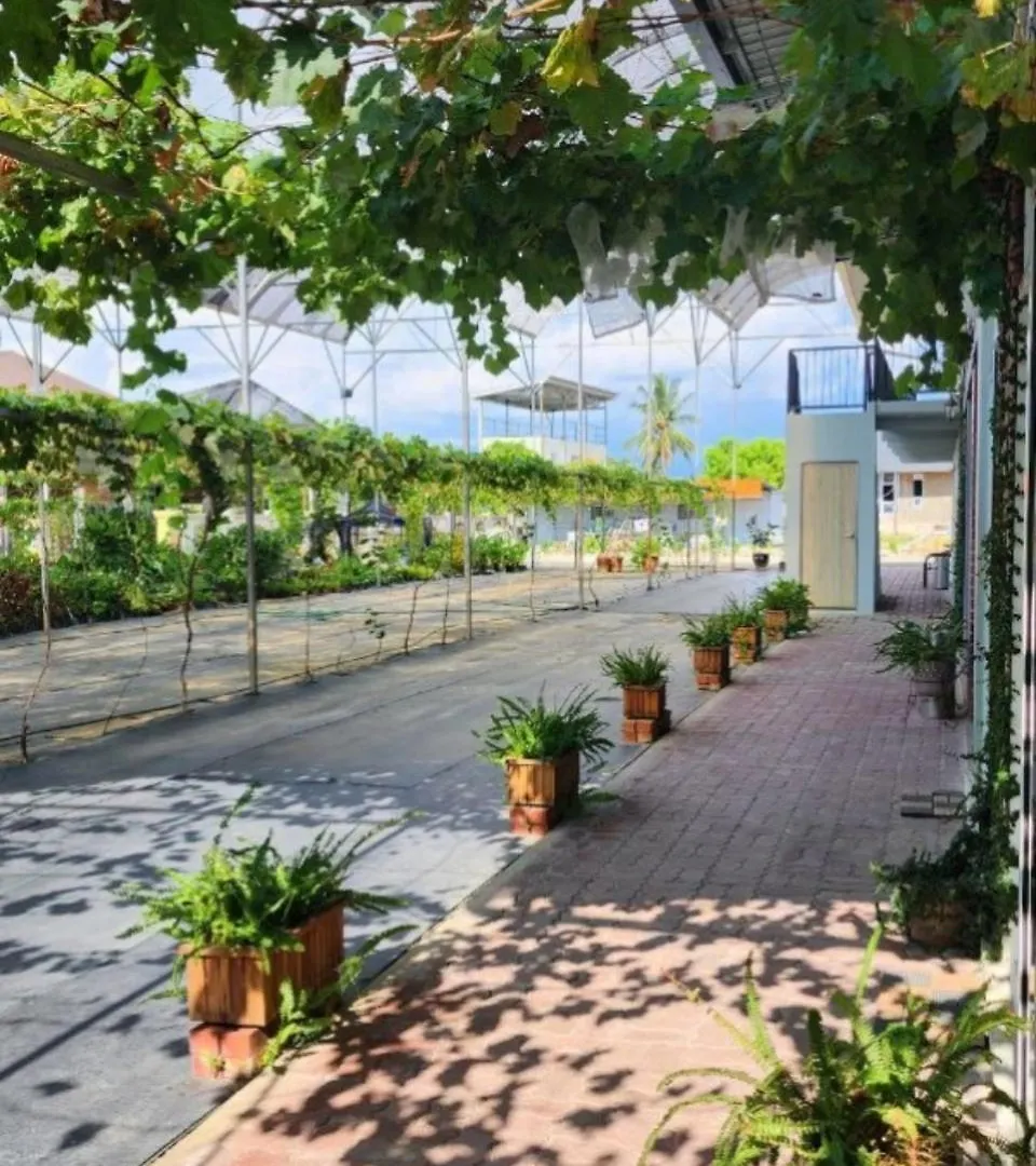 Grapevine Garden Apartment Kota Kinabalu 0*,  Malaysia