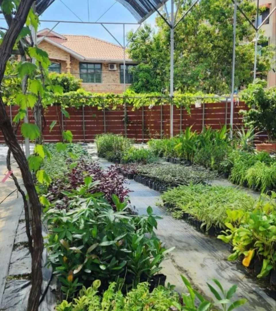 Grapevine Garden Apartment Kota Kinabalu 0*,